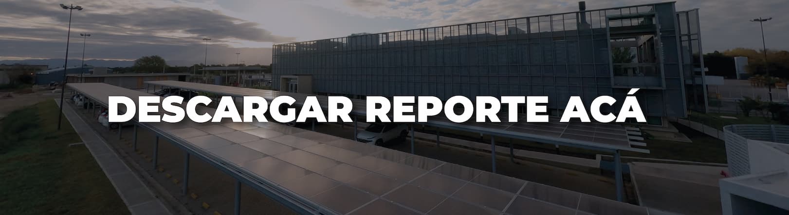 descargar reporte